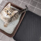 🔥Hot Sale 49% OFF🔥Non-Slip Cat Litter Mat-3