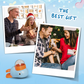 Dog Interactive Treat Dispenser Toy-8